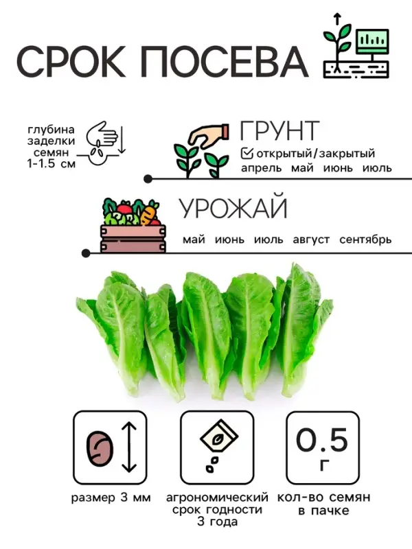Семена Салат листовой "Московский парниковый", 0,5 г