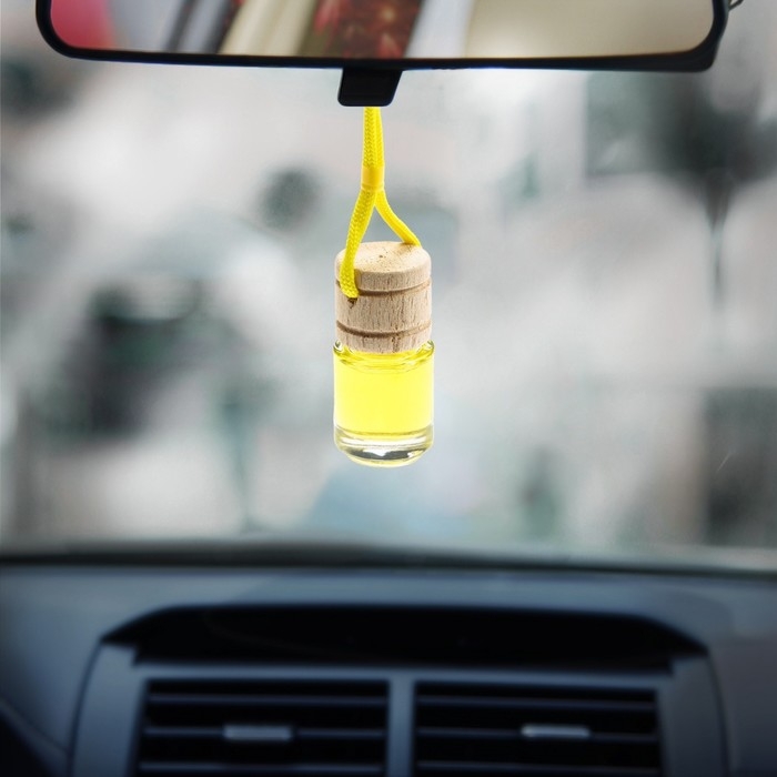 Ароматизатор в автомобиль на 23 Февраля &laquo;Самолёт&raquo;, аромат: цитрус