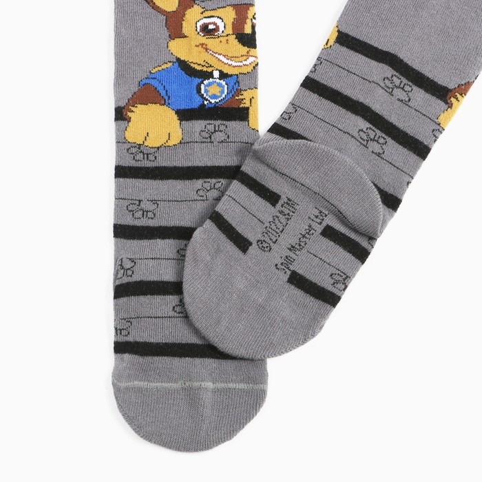 Колготки PAW PATROL &laquo;Гончик&raquo;, цвет серый, 86-92 см