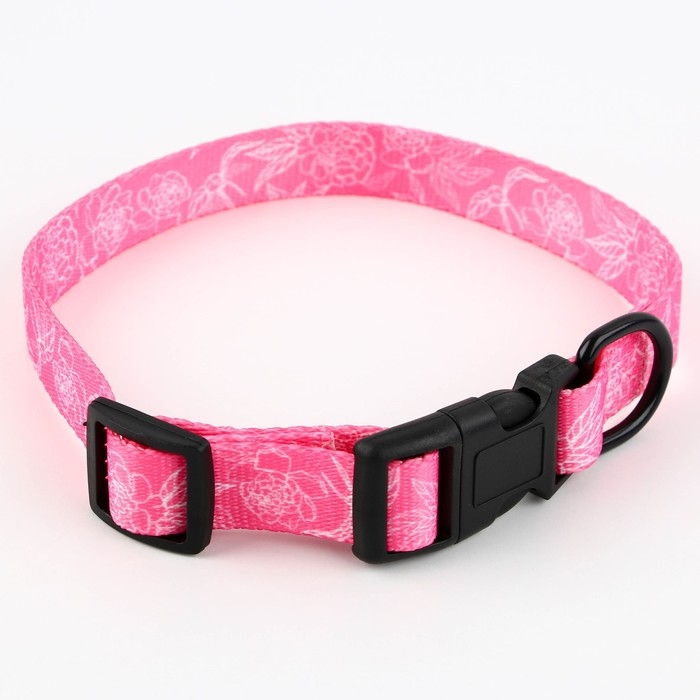 Ошейник My littlle princess, застёжка - фастекс, 2 см 25-40 см Ошейник My littlle princess, застёжка - фастекс, 2 см 25-40 см