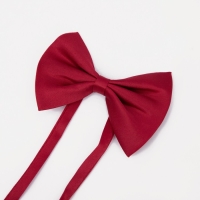 Подтяжки детские &laquo;Выбражулька&raquo;, ширина 2.5 см, бабочка, цвет красный