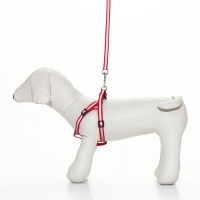 Комплект со светоотражающей лентой, ошейник 120 х 1 см, ОГ 26-40 см, красный