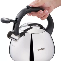 Чайник для плиты Duetto+ N4180110, 2.7 л, стальной