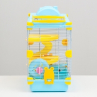 Клетка для грызунов "Пижон", 31 х 24 х 46 см, голубая Клетка для грызунов "Пижон", 31 х 24 х 46 см, голубая