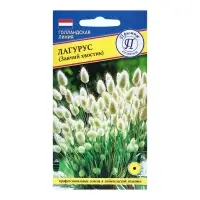 Семена цветов Лагурус (заячий хвостик), О, 10 шт