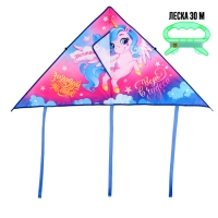 Воздушный змей &laquo;Верь в чудеса&raquo; 70х105 см