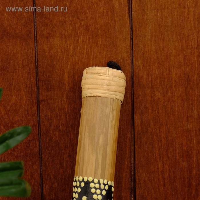 Сувенирный музыкальный инструмент "Посох дождя" 40 см МИКС