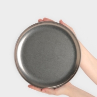 Тарелка d=26см h=1,5 см, 201 сталь