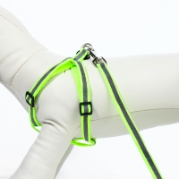 Комплект со светоотражающей лентой, ошейник 120 х 1 см, ОГ 26-40 см, зеленый
