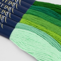 Набор ниток мулине хлопок 8&plusmn;1м (наб 7шт цена за наб) cпектр зелёный  TR