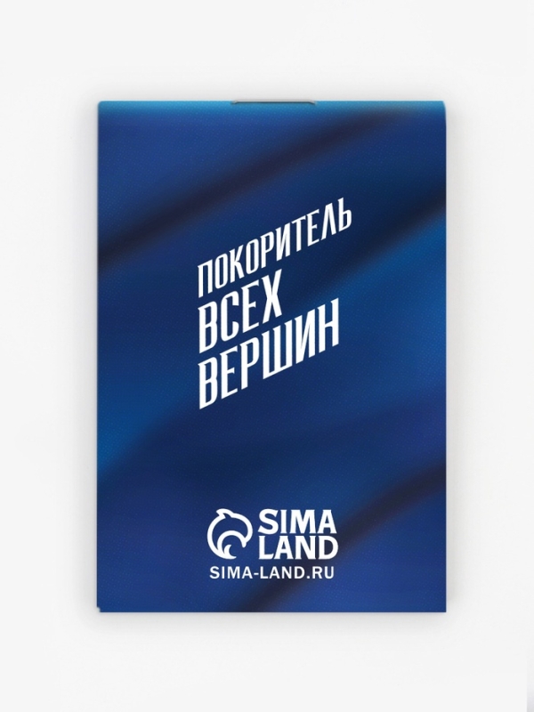 Подарочный набор: блокнот, карандаши (2 шт, ч/г) и значок-дерево "С праздником настоящих мужчин"   1