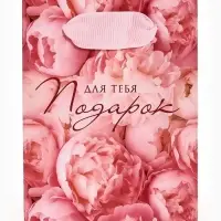 Пакет ламинированный &laquo;Подарок для тебя&raquo;, 9 &times; 12 &times; 6,5 см