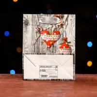 Пакет ламинированный &laquo;Новогодние конфеты&raquo; 11.5&times;14.5&times;6 см