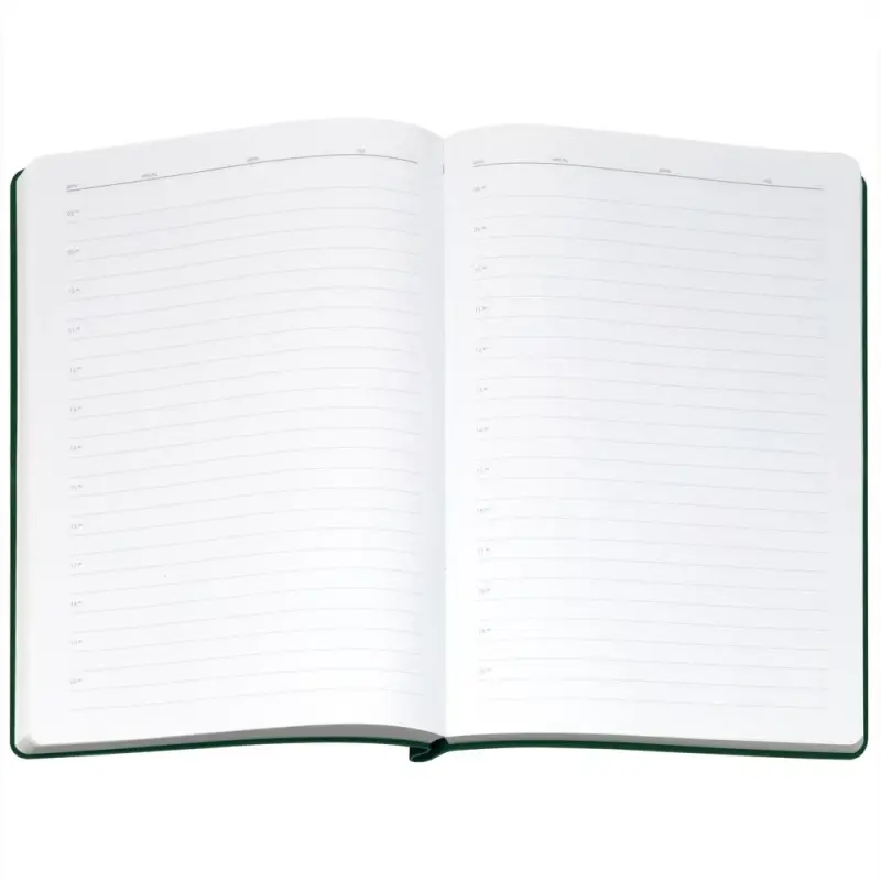 Ежедневник Flexpen Bright, недатированный, зеленый