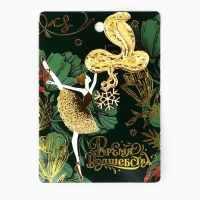 Брошь новогодняя «Время волшебства» на Новый год, балерина 6 х 8 см Брошь новогодняя «Время волшебства» на Новый год, балерина 6 х 8 см