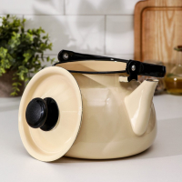 Чайник сферический, 3 л, индукция, цвет слоновая кость Чайник сферический, 3 л, индукция, цвет слоновая кость