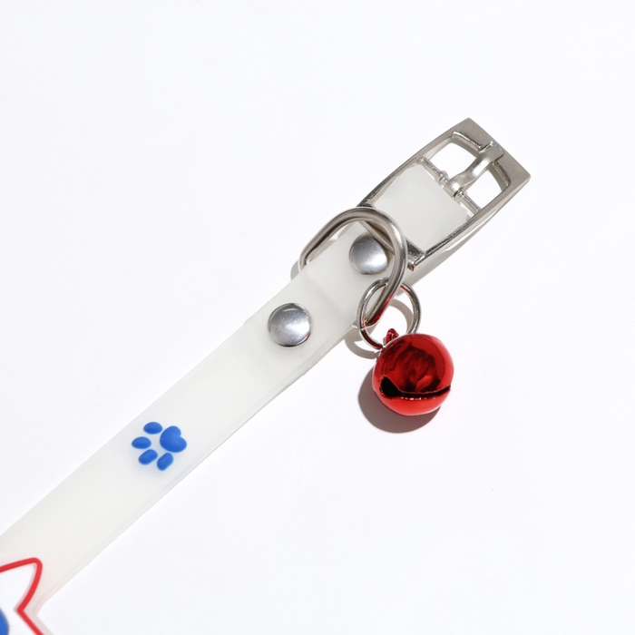 Ошейник Ошейник "Бантик", 28 х 1 см, ОШ 18-24 см, прозрачный/синий