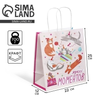 Пакет подарочный крафтовый, упаковка, &laquo;Вечеринка&raquo;, 22 х 25 х 12 см