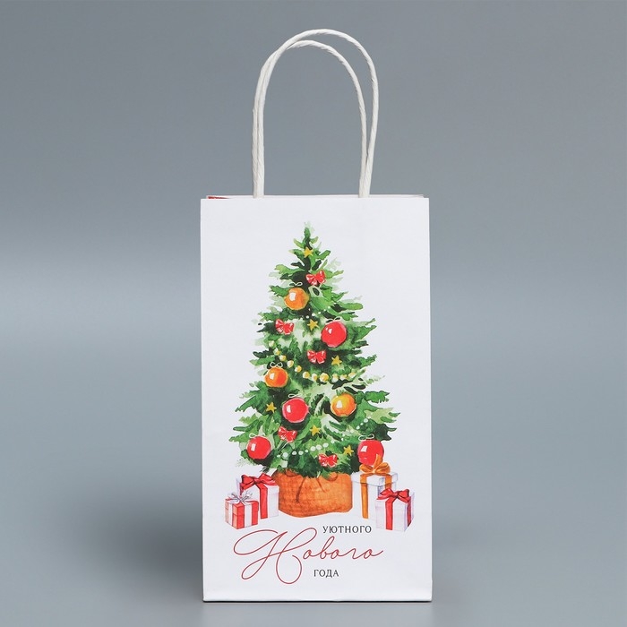 Пакет подарочный новогодний крафтовый &laquo;Уют в доме&raquo;, 12 х 21 х 9 см, Новый год