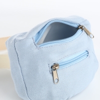 Сумка детская поясная на молнии, наружный карман, цвет голубой Сумка детская поясная на молнии, наружный карман, цвет голубой