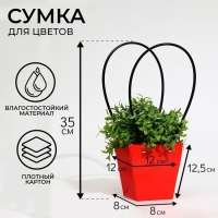 Сумка для цветов &laquo;Красная&raquo;, влагостойкая, 12 x 12 - 8 x 8 - 12,5 см