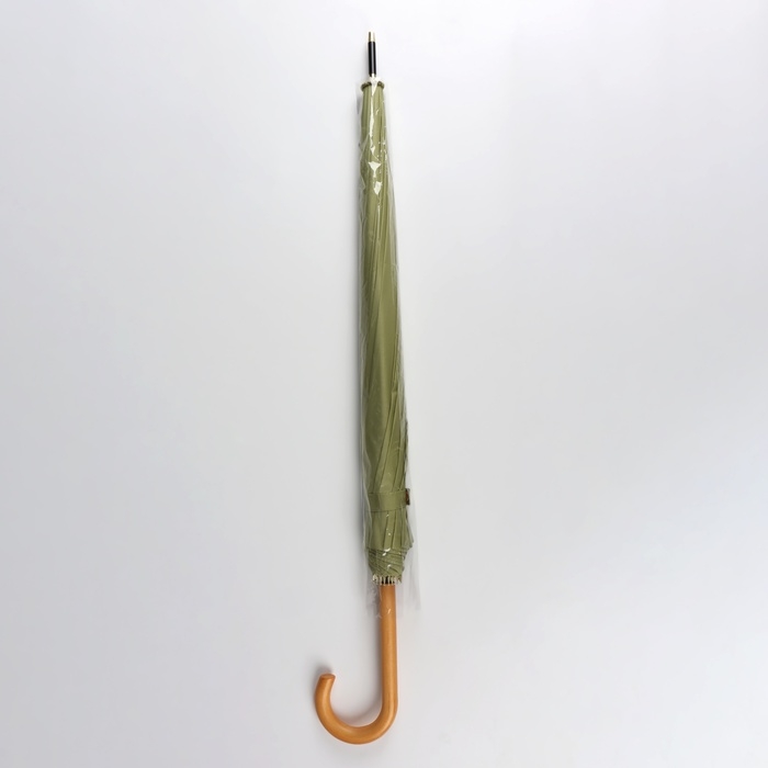 Зонт - трость полуавтоматический &laquo;Пастель&raquo;, 16 спиц, R = 52/60 см, D = 120 см, цвет зелёный