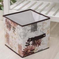 Короб стеллажный для хранения Доляна &laquo;Астра&raquo;, 25&times;25&times;25 см