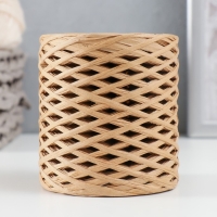 Пряжа 100% целлюлоза "Softino Raffia Color" ленточная, натуральная 200м ±2м 120 гр Пряжа 100% целлюлоза "Softino Raffia Color" ленточная, натуральная 200м ±2м 120 гр