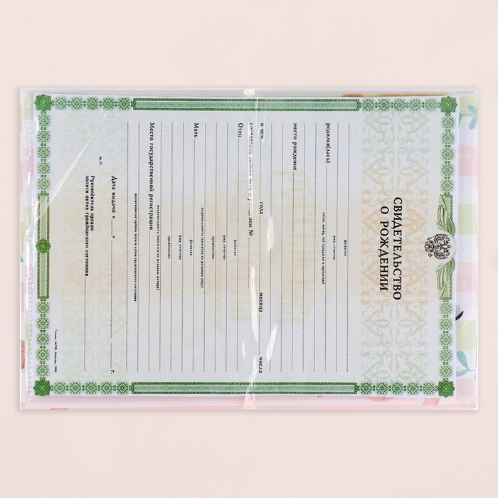 Папка под свидетельство о рождении "Весёлые зверята" жираф, А5