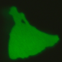Большой набор опытов &laquo;Принцессы&raquo;, 7 весёлых опытов
