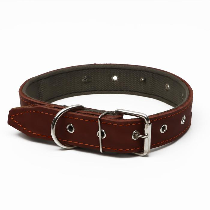 Ошейник комбинированный кожа/брезент, безразмерный, 70 х 3,5 см, ОШ 25-60 см, коричневый Ошейник комбинированный кожа/брезент, безразмерный, 70 х 3,5 см, ОШ 25-60 см, коричневый