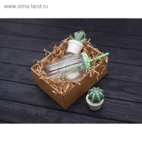 Кружка стеклянная с крышкой и трубочкой Доляна «Кактус», 450 мл, 11×7×15 см Кружка стеклянная с крышкой и трубочкой Доляна «Кактус», 450 мл, 11×7×15 см