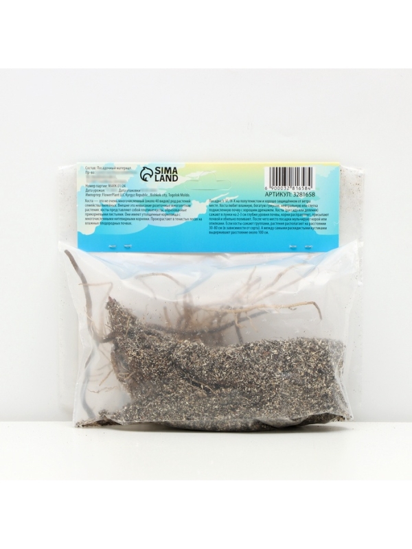 Хоста &laquo;Патриот&raquo;, корневище в пакете с торфогрунтом, р-р I, 1 шт.