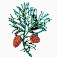 Брошь "Кедровая веточка", цвет коричнево-зелёный в золоте