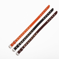 Ошейник кожаный однослойный, тиснёный «Красотка», 48 х 2 см, ОШ 32-43 см, микс цветов Ошейник кожаный однослойный, тиснёный «Красотка», 48 х 2 см, ОШ 32-43 см, микс цветов