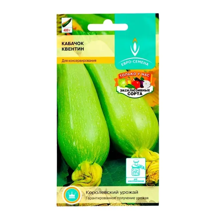 Семена Кабачок &laquo;Квентин&raquo;, 10 шт., &laquo;Евро-семена&raquo;