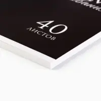 Альбом для рисования 40 листов на склейке А4 &laquo;Лев&raquo;