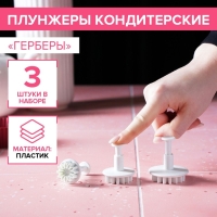 Набор плунжеров кондитерских Доляна &laquo;Герберы&raquo;, 3 шт, размеры цветков: 4,3 см, 4,8 см, 5,5 см