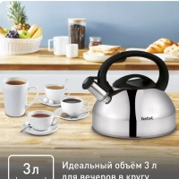 Чайник для плиты из нержавеющей стали C7922024, 3 л