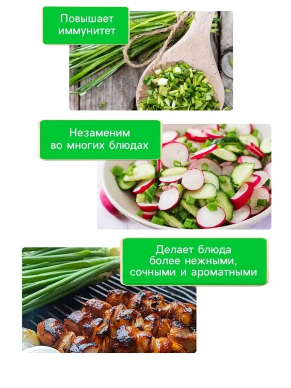 Семена Лук порей "Карантанский", 0,1 г