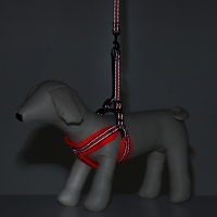 Комплект амуниции мягкий, светоотражающий, поводок 120 х 1,5 см, ОШ 35-53 см, оранжевый