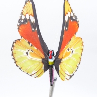 Штекер с подсветкой "Бабочка Адриа" желтая, 12х70см Штекер с подсветкой "Бабочка Адриа" желтая, 12х70см