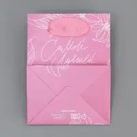 Пакет подарочный ламинированный, упаковка, &laquo;Самой лучшей&raquo;, 9 х 12 х 6.5 см