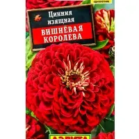 Семена цветов Цинния Вишневая королева , Ц/П,0,3 г