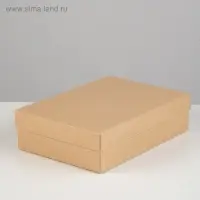 Коробка картонная без окна, крафт, 21 х 15 х 5 см