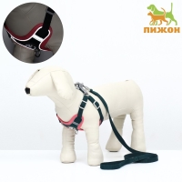 Комплект Sport+, М, поводок 120 x 1,5 см, ОШ 44-48 см, ОГ 51-60 см, розово - чёрный Комплект Sport+, М, поводок 120 x 1,5 см, ОШ 44-48 см, ОГ 51-60 см, розово - чёрный