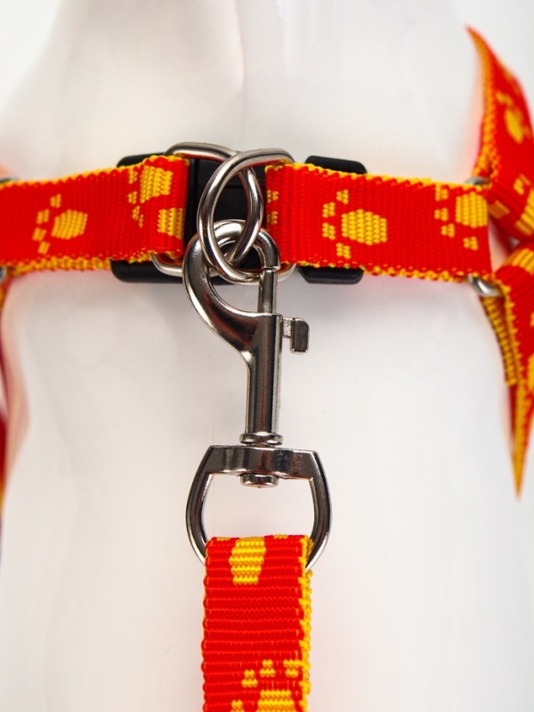 Комплект "Большая лапа", ширина 1,5 см, поводок 120 см, шлейка 28-42 см, оранжево-жёлтый