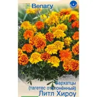 Семена цветов Бархатцы Литл хироу отклоненные, смесь сортов  Спецсерия Benary, Ц/П,10 шт.