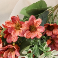 Букет "Калибрахоа" 28 см, микс Букет "Калибрахоа" 28 см, микс