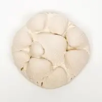 Минеральный камень для  водных черепах, 15 г